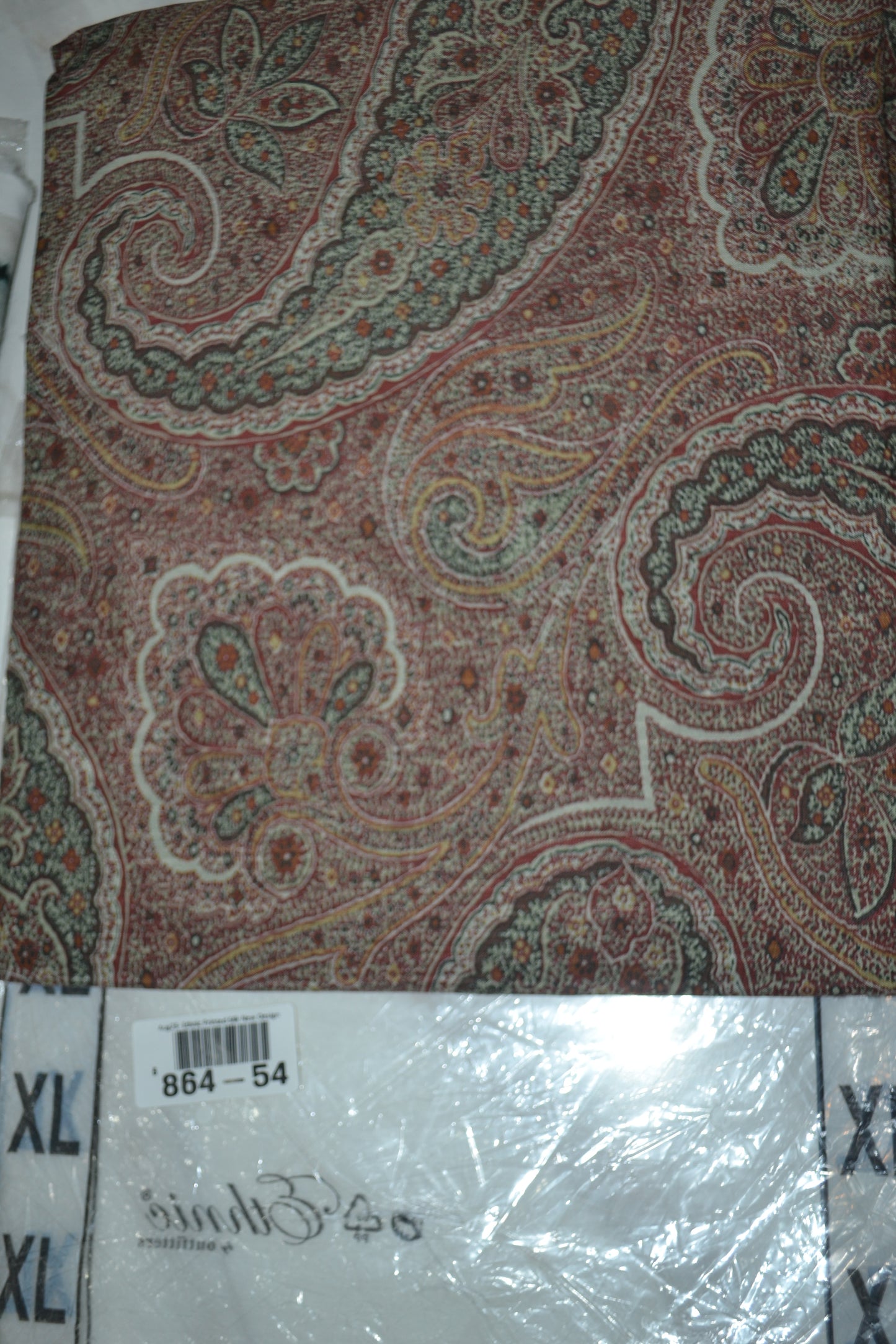 Ethnic Printed Raw Silk (864-54)